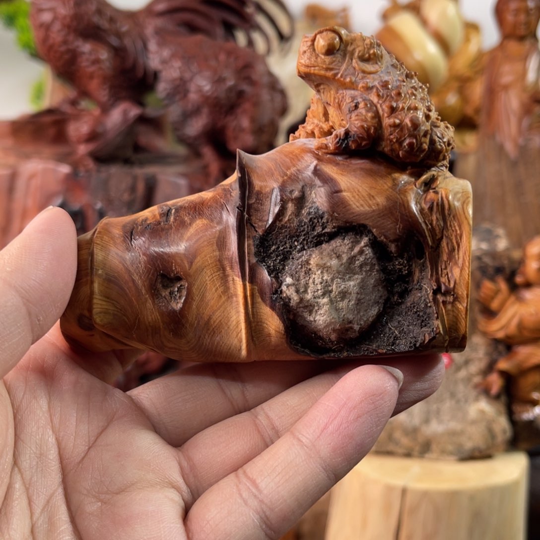 柏木（崖柏）太行888888