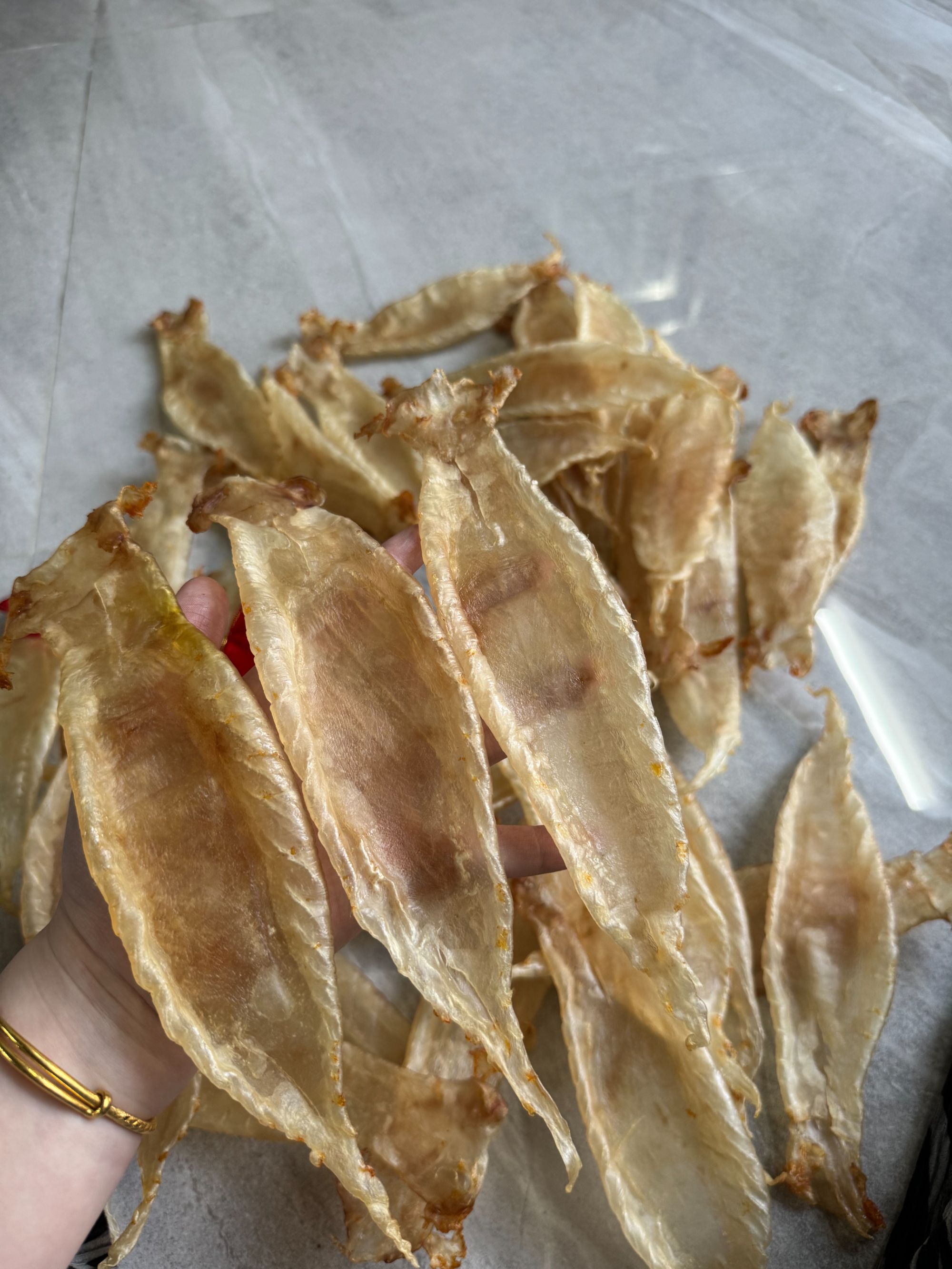 【柚子钗】南澳柚子鑫钗鱼胶花胶直播现称