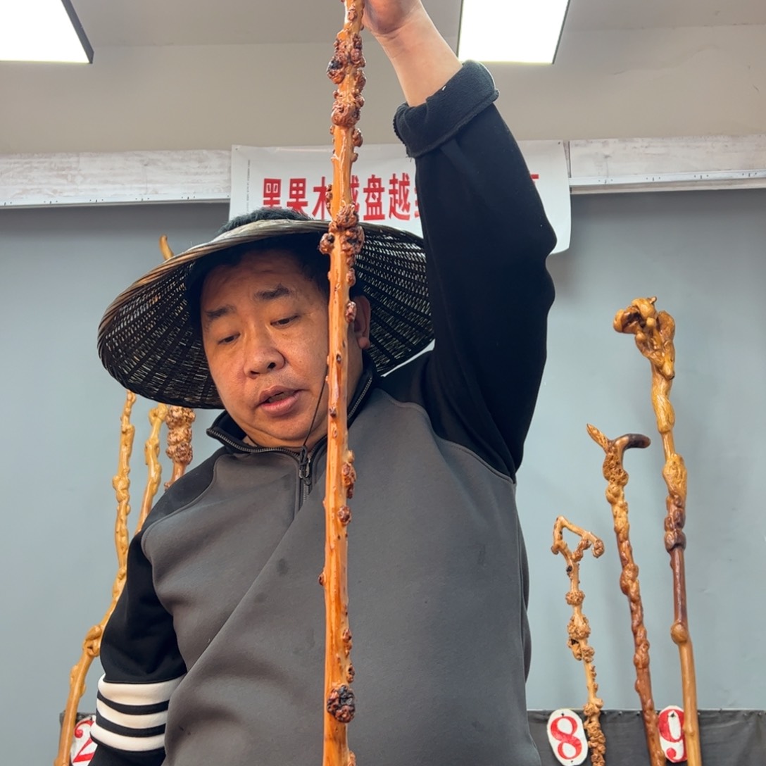 黑果木其他龍**海黑果木590