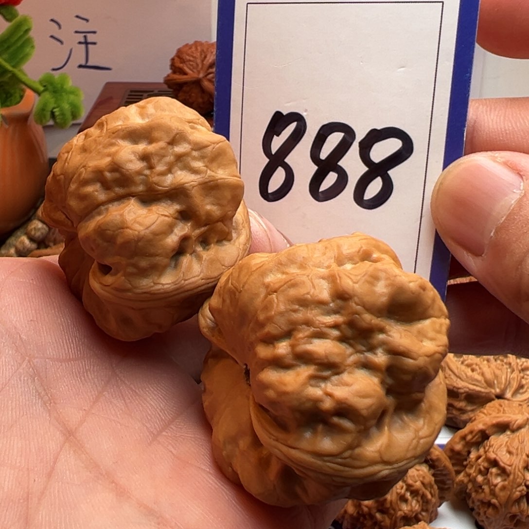 文玩核桃把件全品古蟾41.5尺寸888号