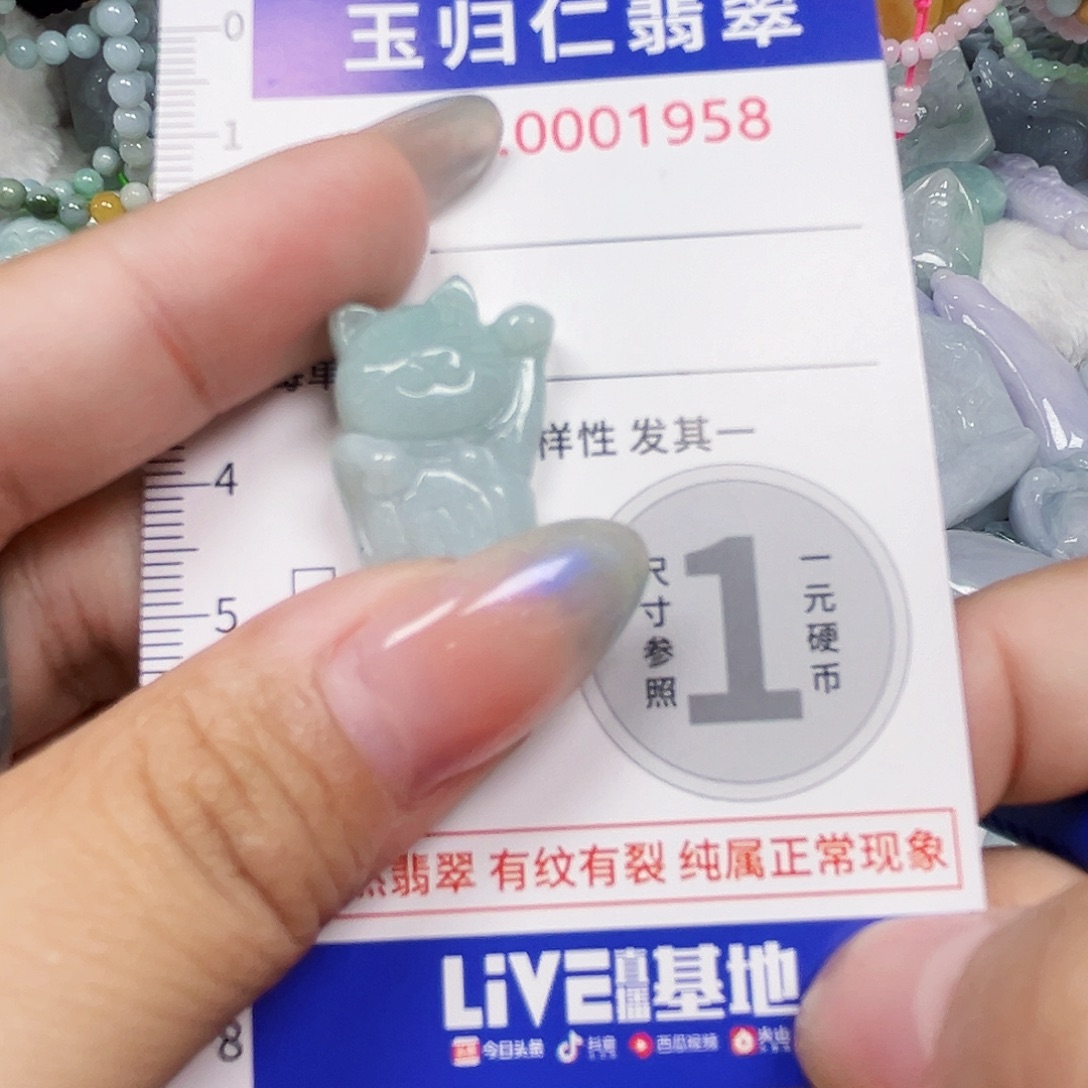 翡翠未镶嵌吊坠(不含链)111111