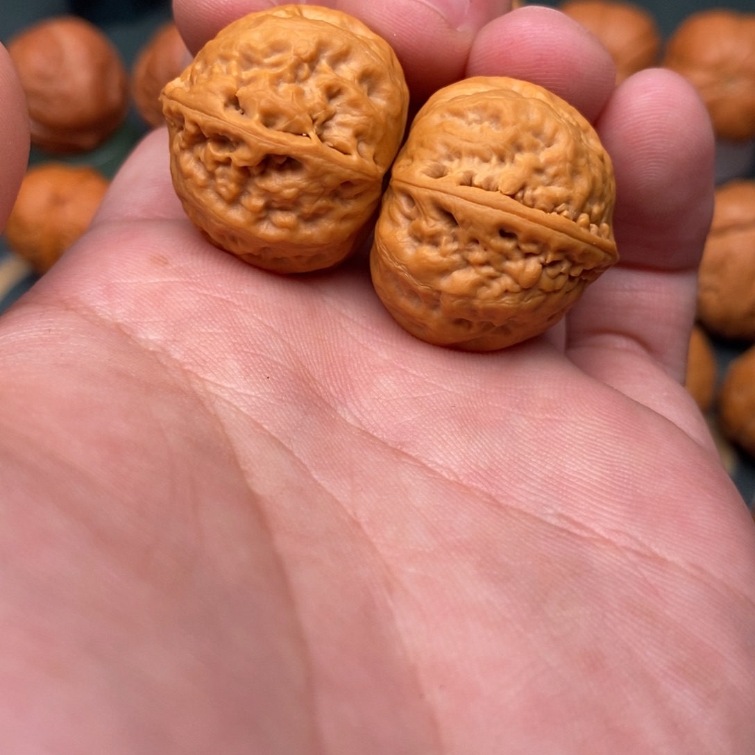 文玩核桃把件粗筋肉龙