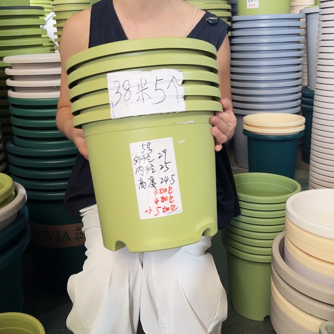 微瑕5#口径29无拖果绿6个