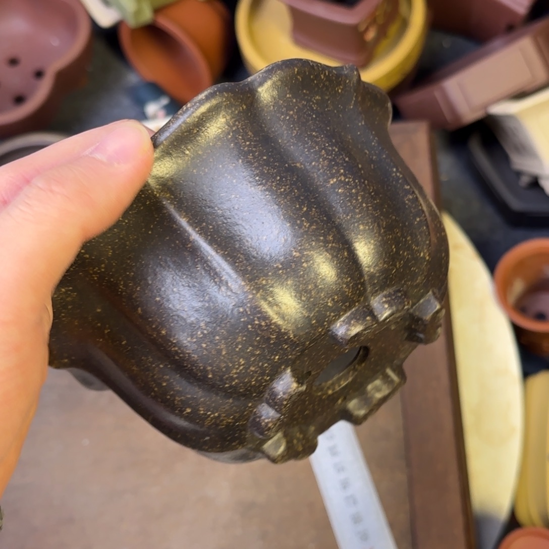 泥塑12+6vvvvvvvvvvvvv