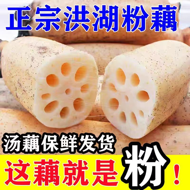 湖北特产正宗洪湖新鲜现挖莲藕煲汤粉藕带泥糯米藕现发坏果包赔