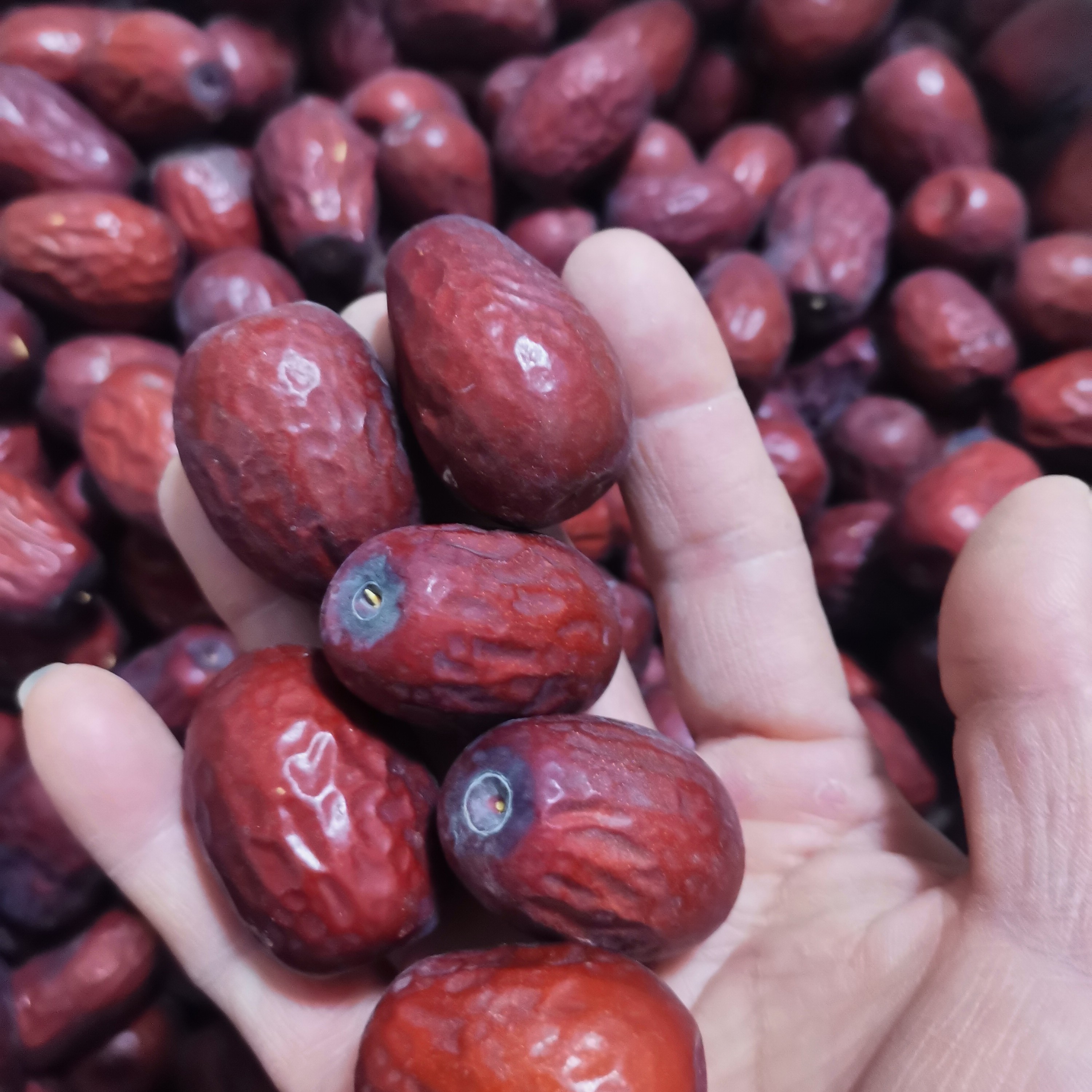 新疆和田直发原生态自然吊干大枣核小肉厚枣香浓郁小果