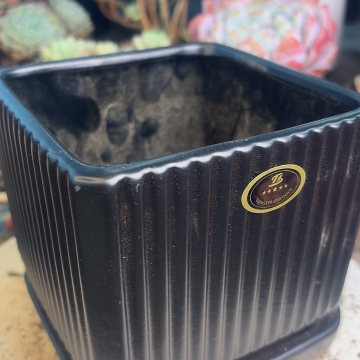 多肉植物专用花盆