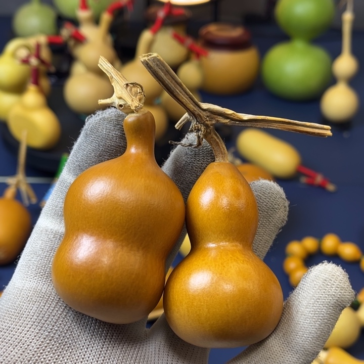 葫芦葫芦葫芦葫芦拍11111