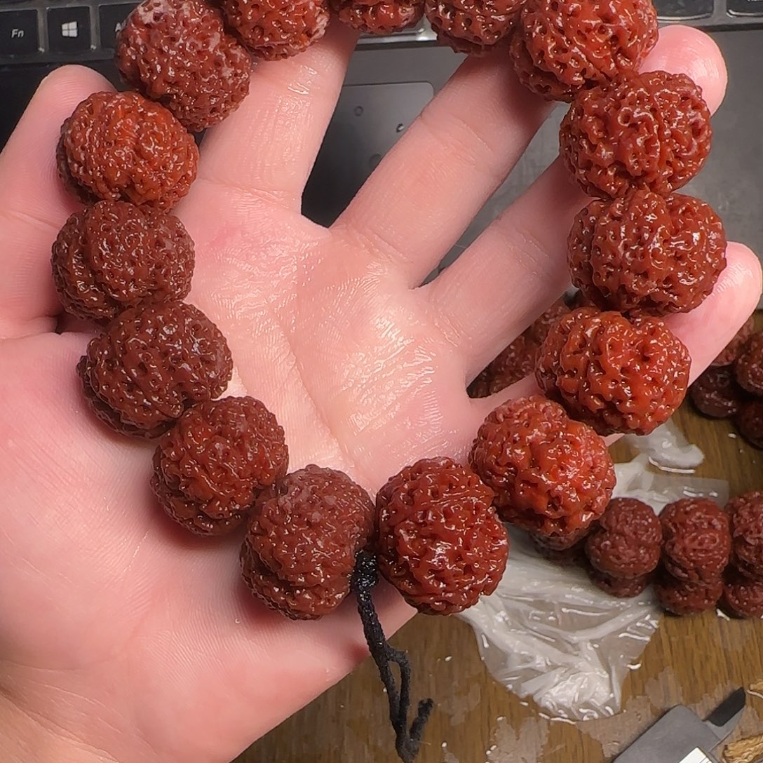 金刚菩提满肉蜂王