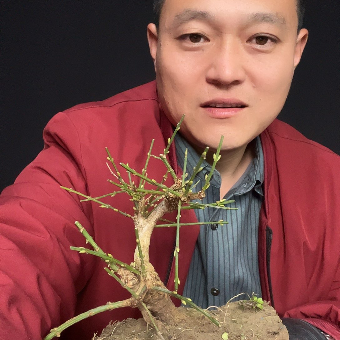 心***军无花朵谢谢你的关心和支持