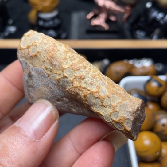 石材纯天然原石奇石53