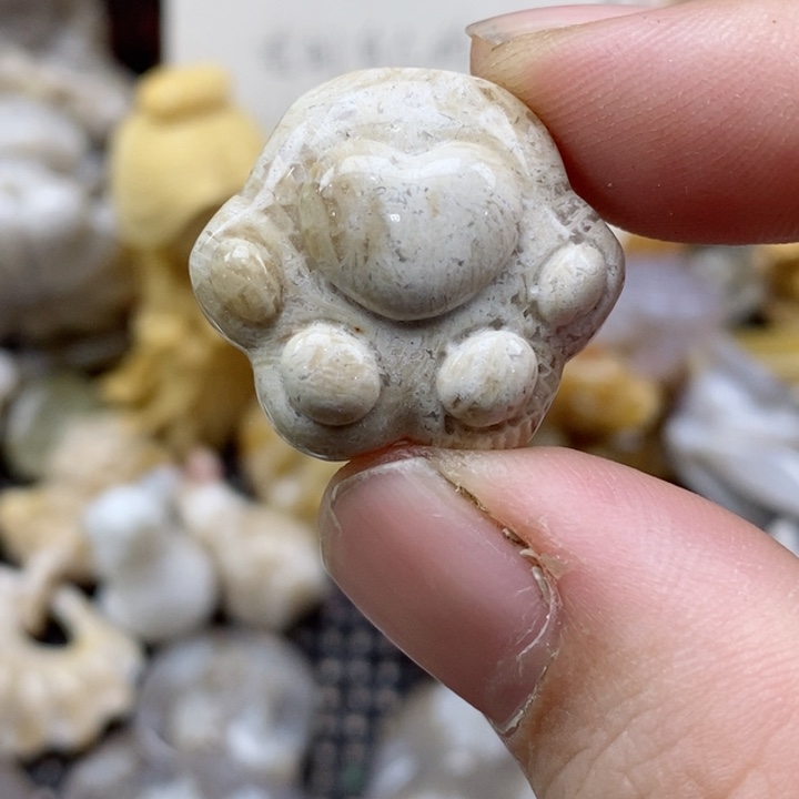 颈饰未镶嵌硅化珊瑚（珊瑚玉）小