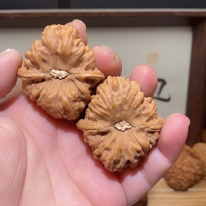 文玩核桃把件呀**咋38一代金蟾凹底