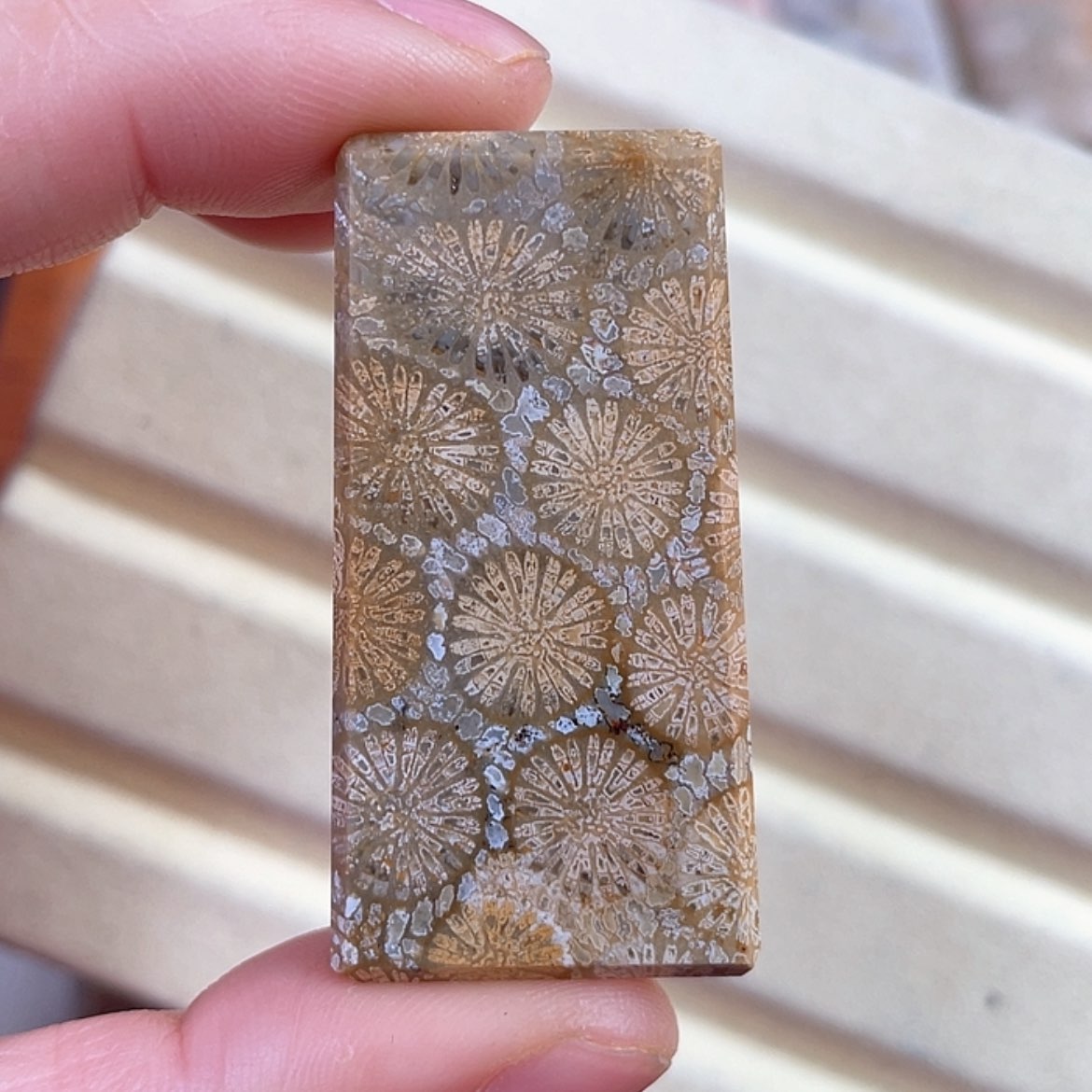 【闪购商品】硅化玉吊坠(赠链)未镶嵌