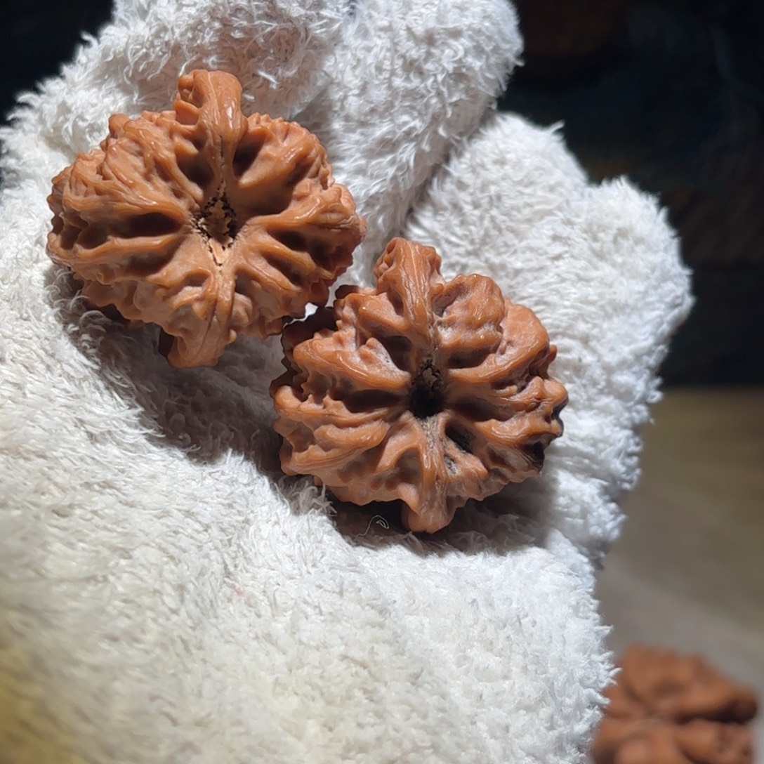 荒***葛吊坠文玩核桃酒杯大龙