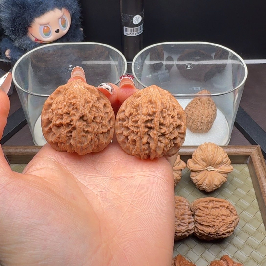 核桃全品满天星39