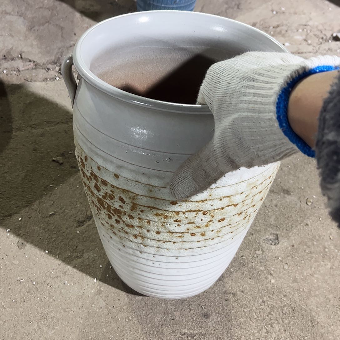 紫砂花盆里的小猫咪