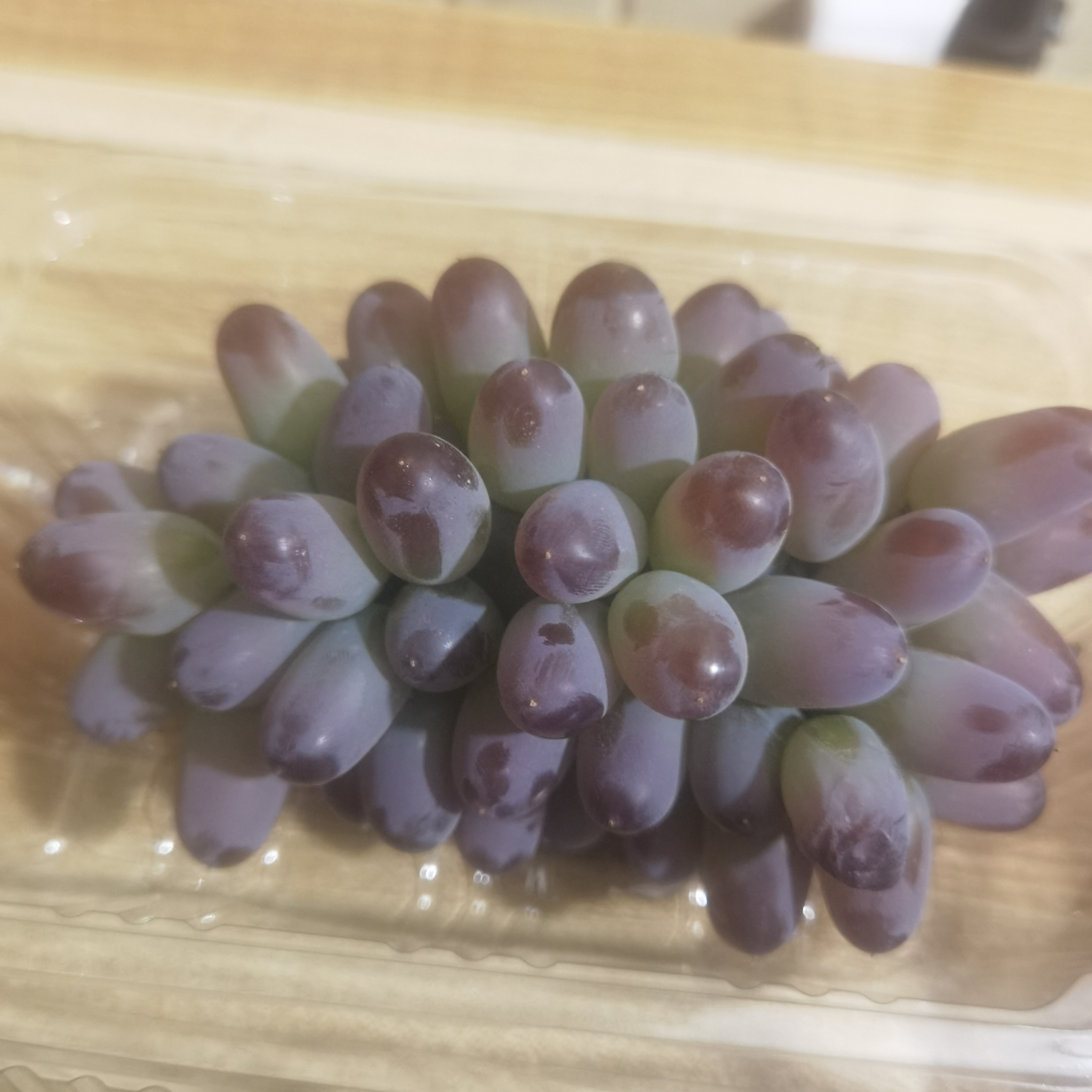 陕西省茉莉香葡萄 含香美人娇 约500g陕西省