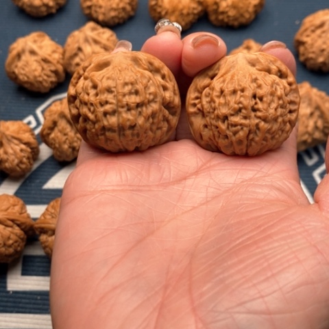 橄榄核手串/手链莲花37全品