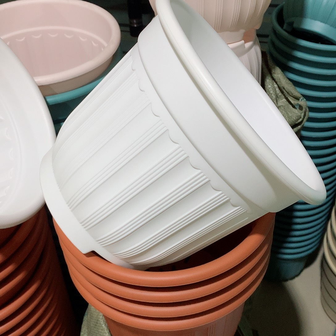 树脂罗马口24白4个无托