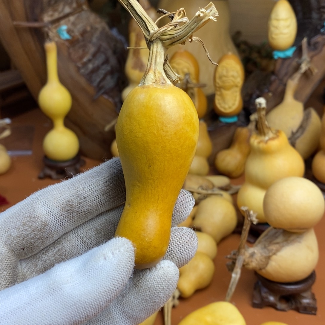 兔***离哭我就咯教练咯教练咯