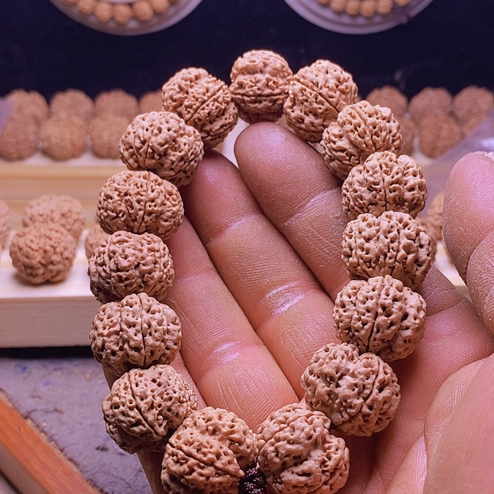 手串金刚菩提不****牙古龙老树王