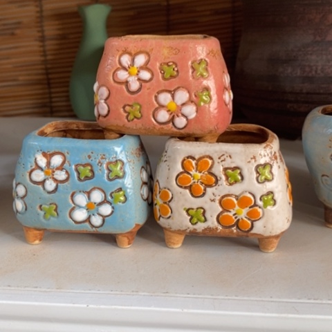 【闪购商品】红陶1