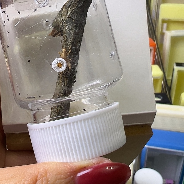 雪***原哈哈哈哈哈哈哈哈哈哈哈哈哈