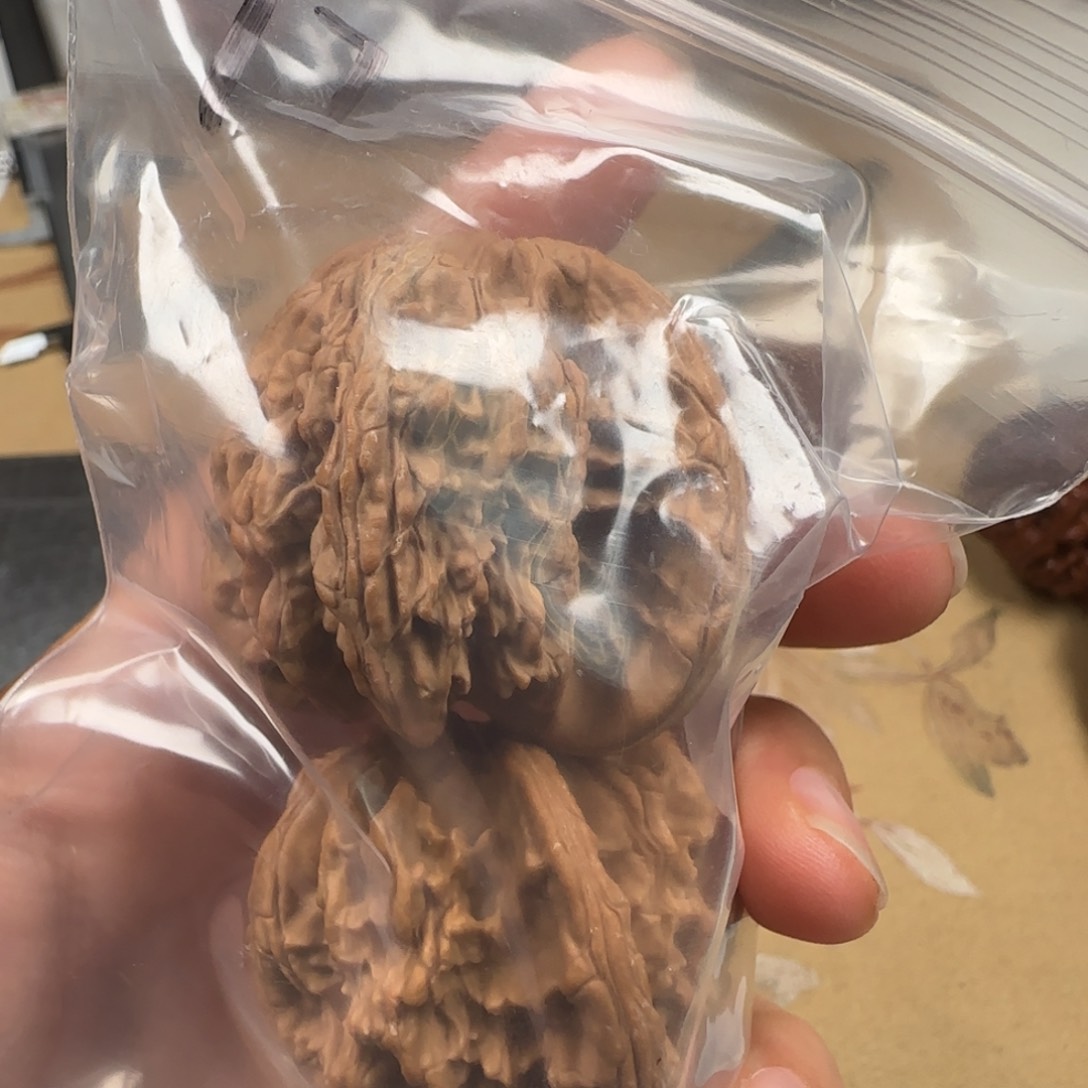 文玩核桃吊坠王*山地狮虎兽44-17