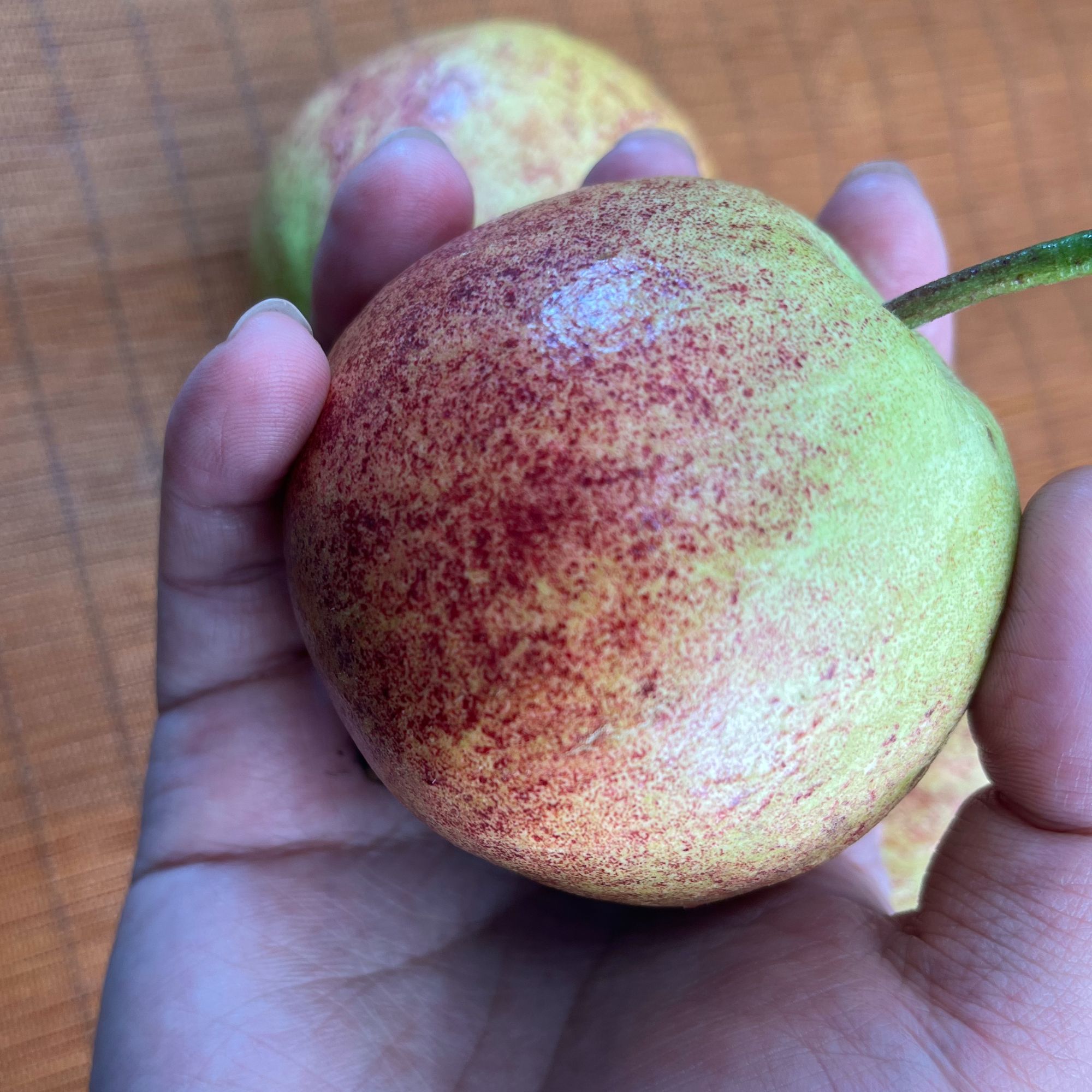 【特惠带红皮】广西奶油芭乐 番石榴 新鲜采摘