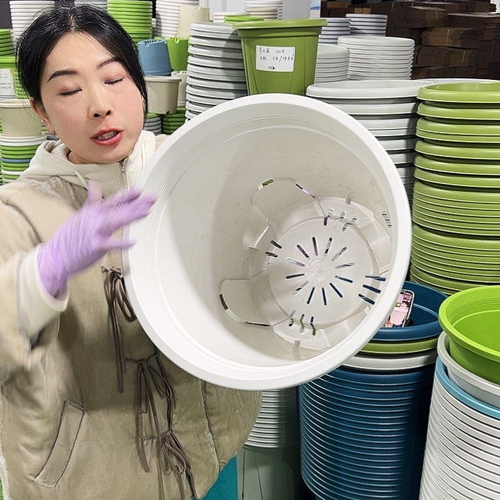 正品圆控口37.5高34白色3只无托