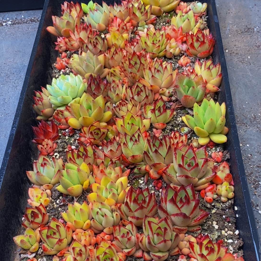 606多人受伤我在这里等你回来