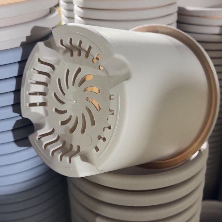 四季3号无托灰白色10个