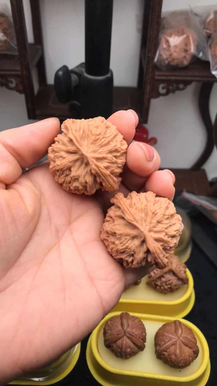 苹果园文玩核桃狮子头434035