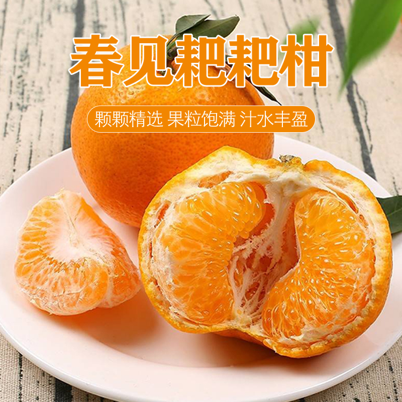 【坏果包赔】春见罗氏耙耙柑酸甜可口净重4.5/8斤净重（泡沫箱发货）