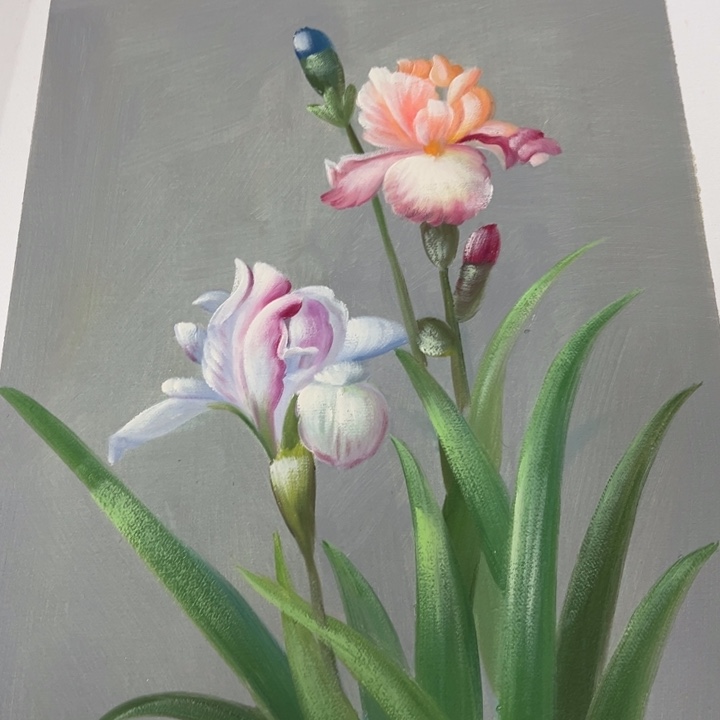 油画p z y p p z p z p z