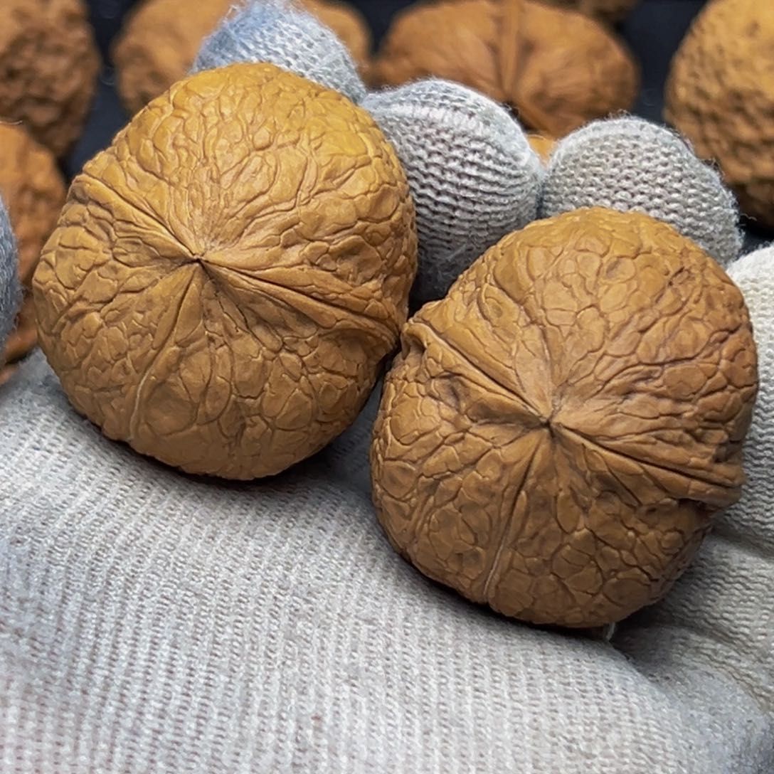 38尺寸蟒纹三棱 一物一图