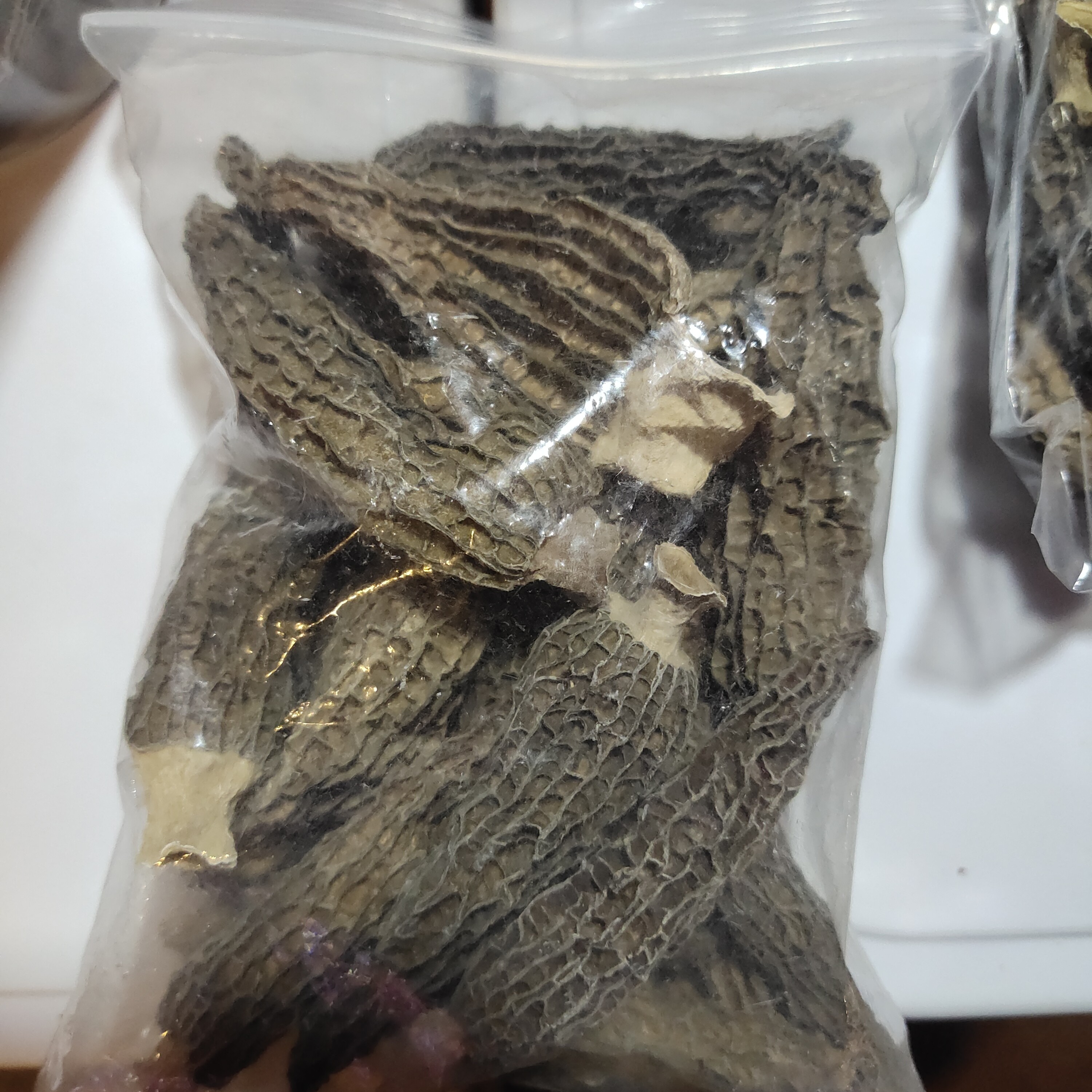 日庄羊肚菌尝鲜装（5-7厘米）20g