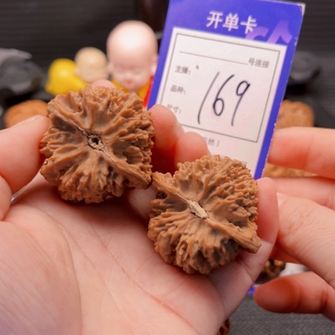 文玩核桃把件41满天星 169