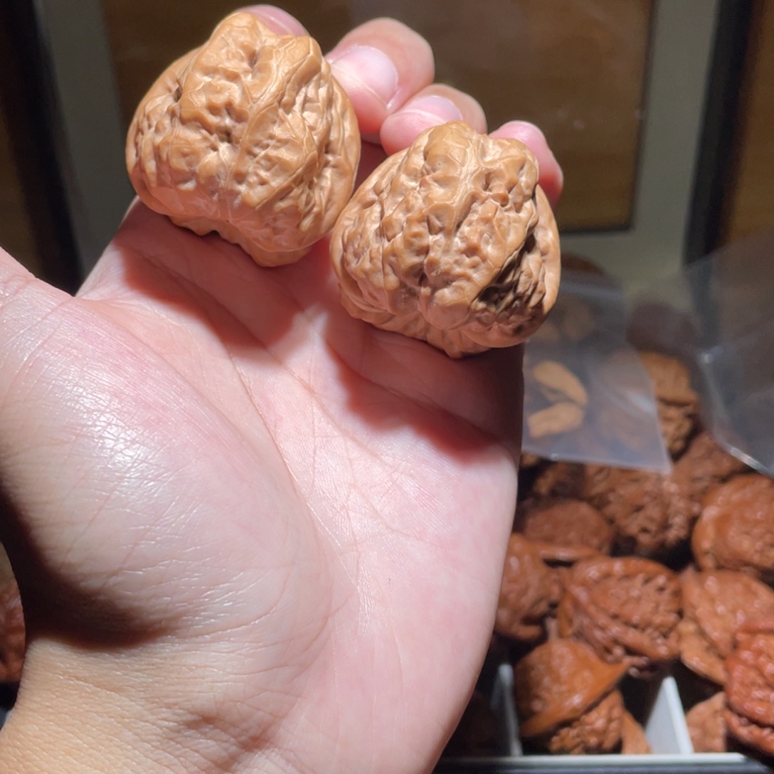 9***739尺寸蛤蟆头狮子头