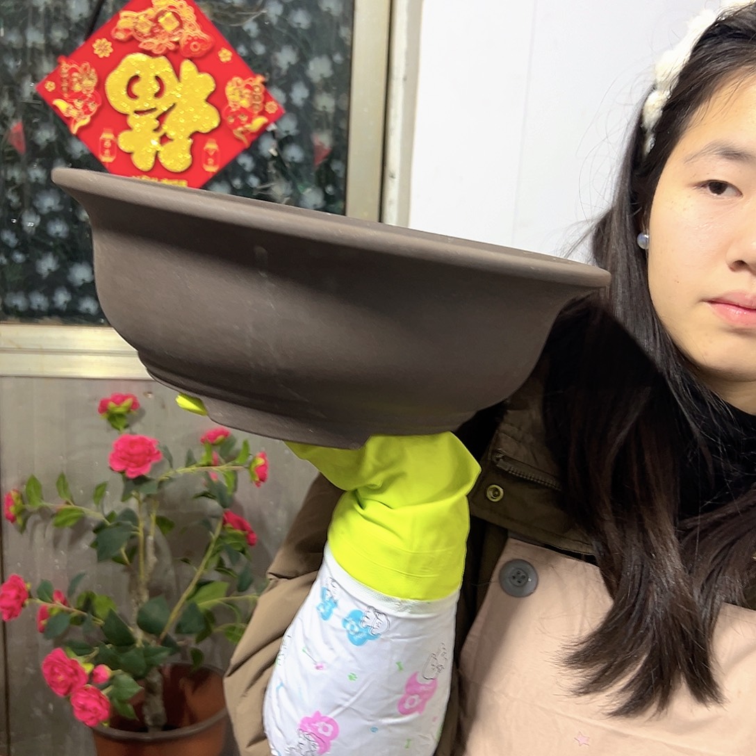 28紫泥碗盆花盆花盆花盆