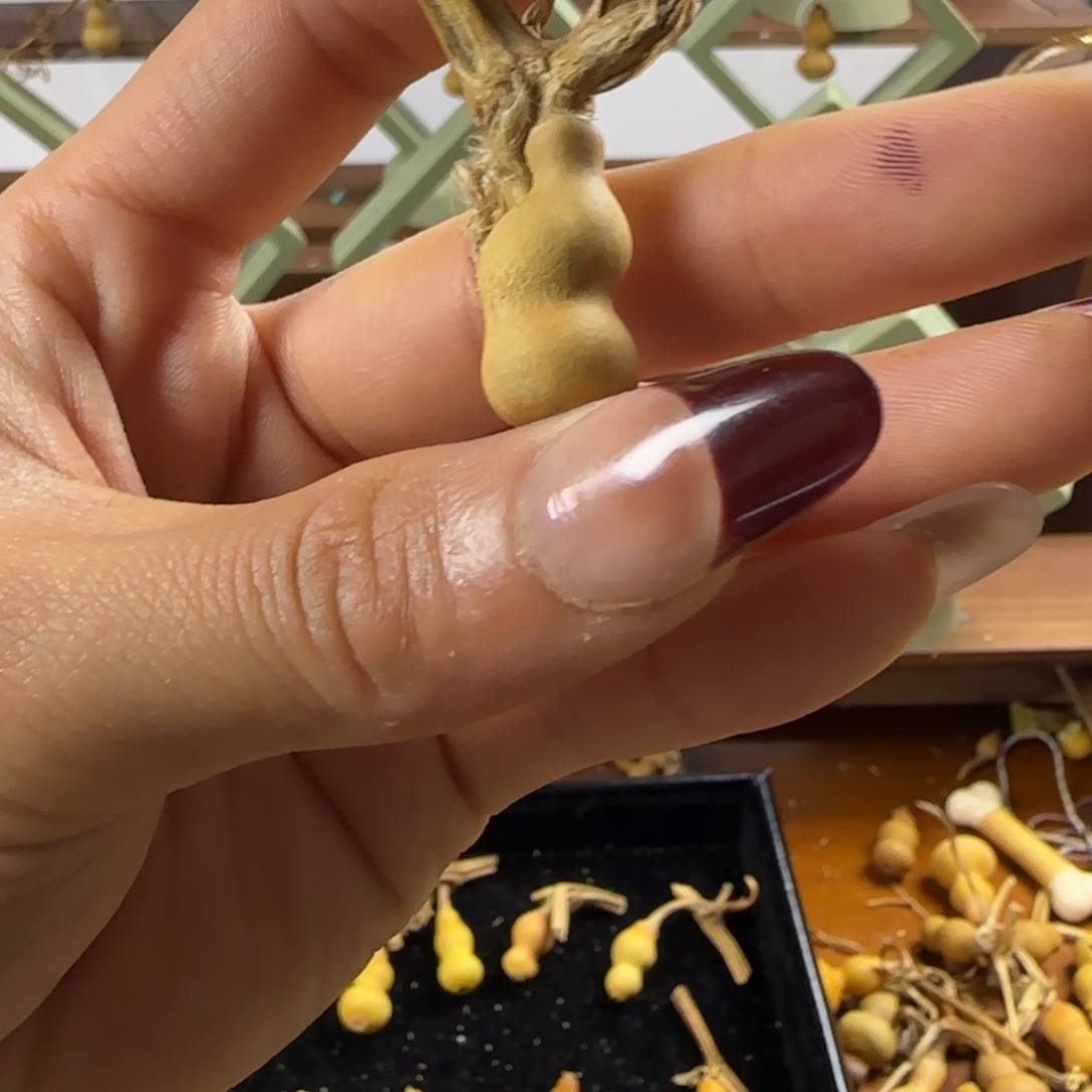 天然草里金小葫芦