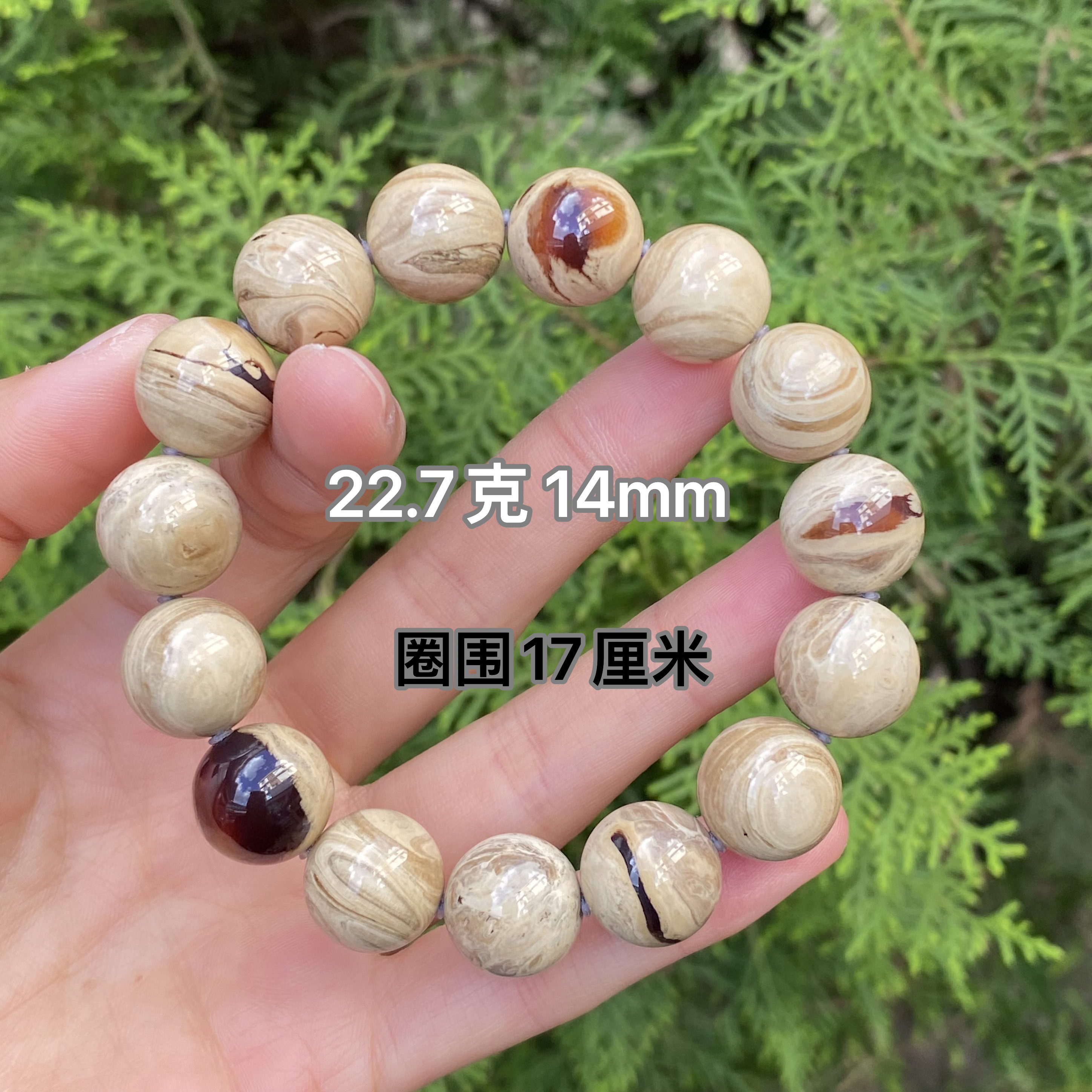 【小伊琥珀】22.7克瓷白根手串