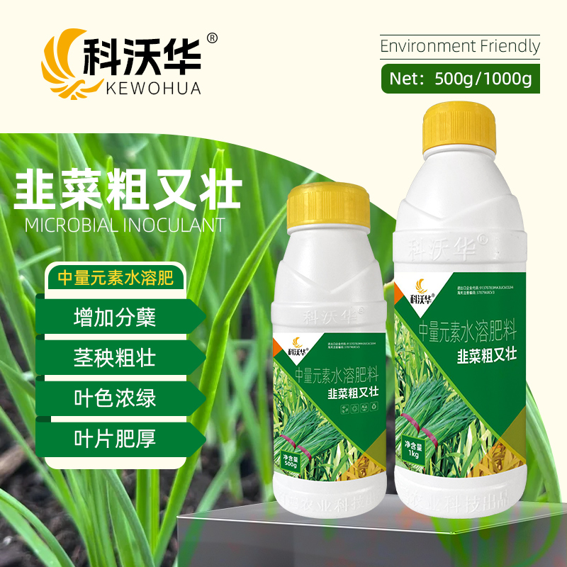 韭菜粗嫩黑又亮增绿叶片增厚壮根抗倒伏防黄叶干尖卷叶烂根叶面肥