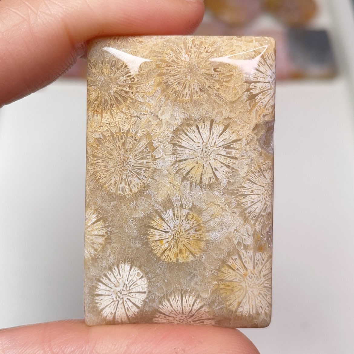 【闪购商品】未镶嵌吊坠(赠链)硅化玉