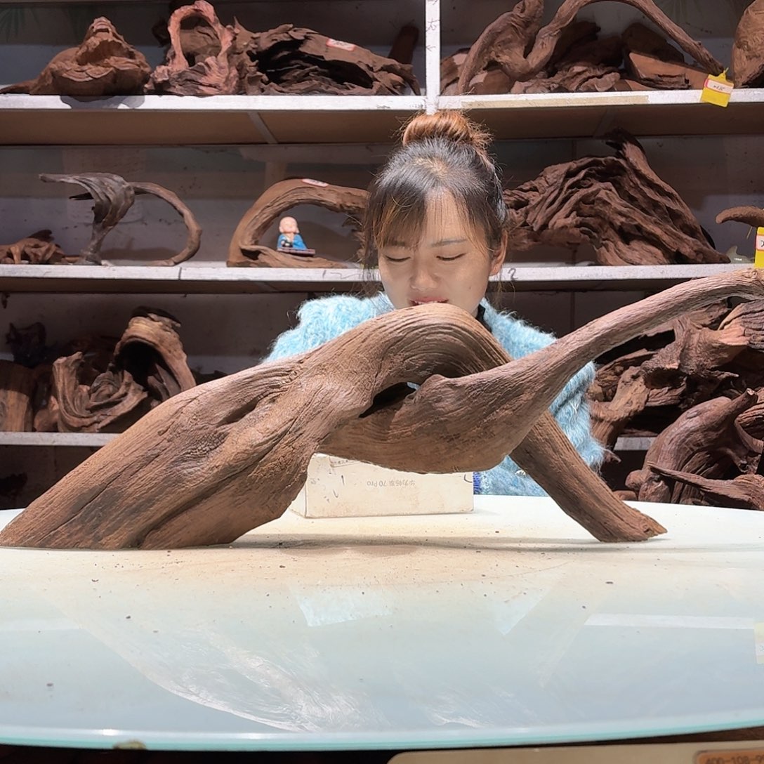 倍褚沉木，不包损必褪色吃*臣6219