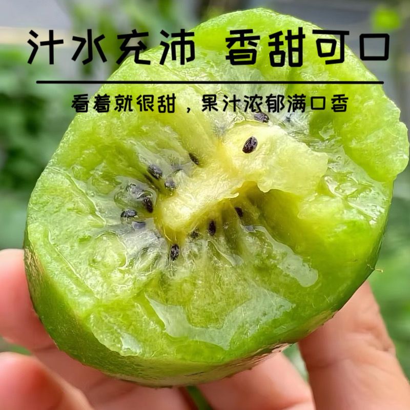 贵州修文高山绿心猕猴桃30枚新鲜应季香甜多汁奇异果