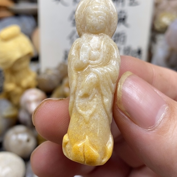 硅化珊瑚（珊瑚玉）未镶嵌颈饰