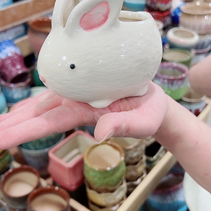 有孔，凑单福利满10元发货陶瓷多肉花盆！