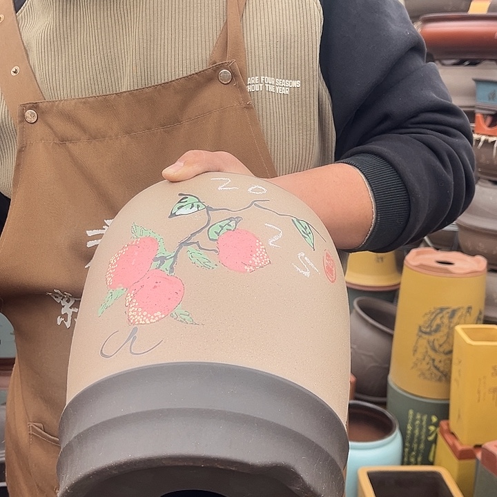 紫砂紫砂花盆盆栽